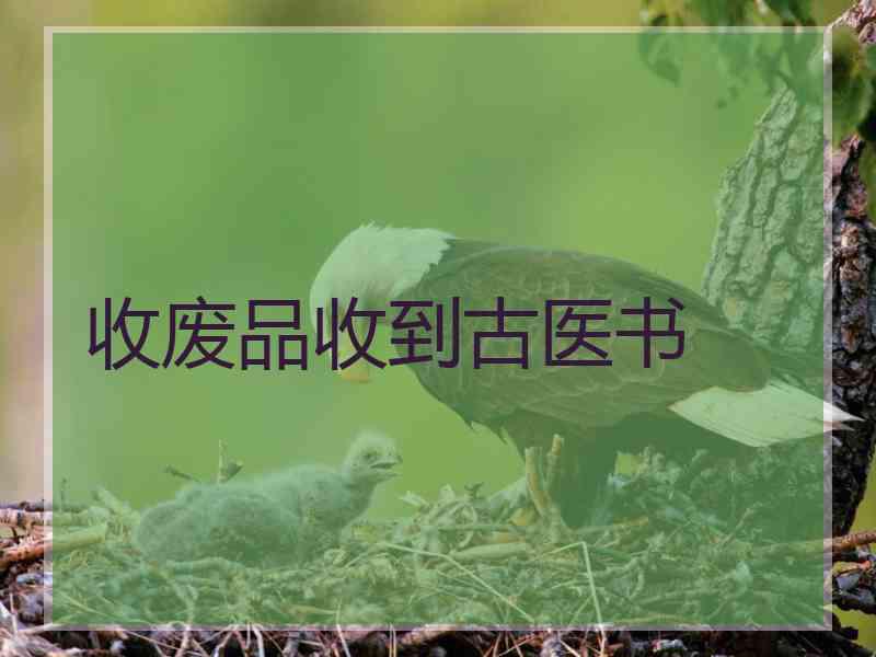 收废品收到古医书