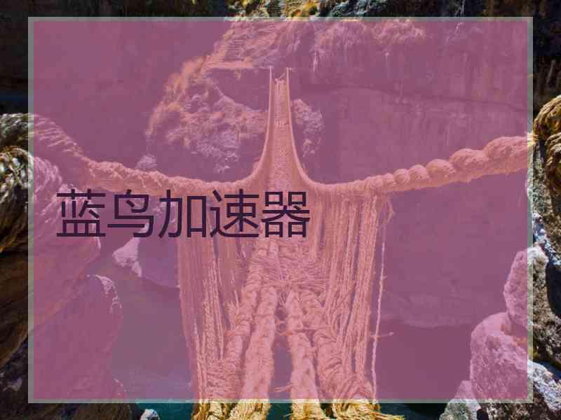 蓝鸟加速器