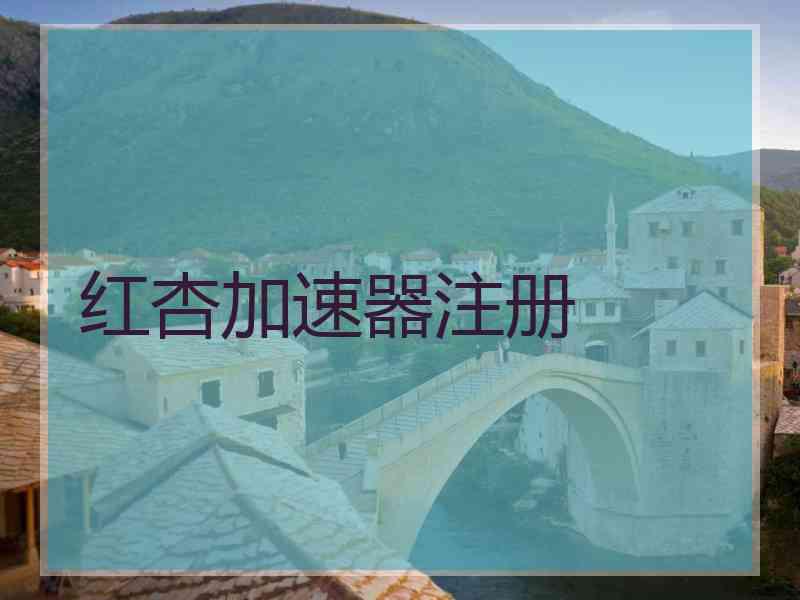 红杏加速器注册