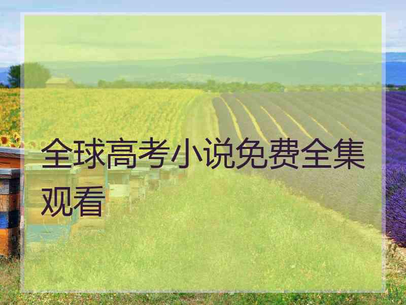 全球高考小说免费全集观看