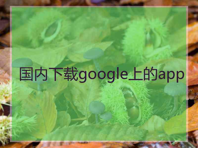 国内下载google上的app