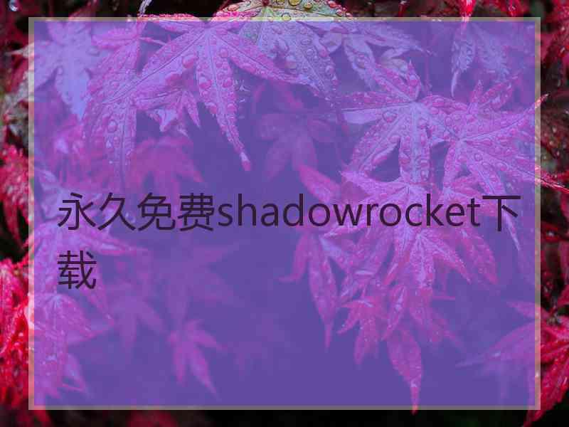 永久免费shadowrocket下载
