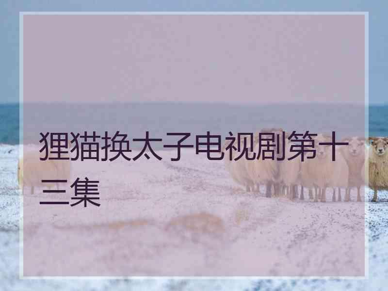 狸猫换太子电视剧第十三集
