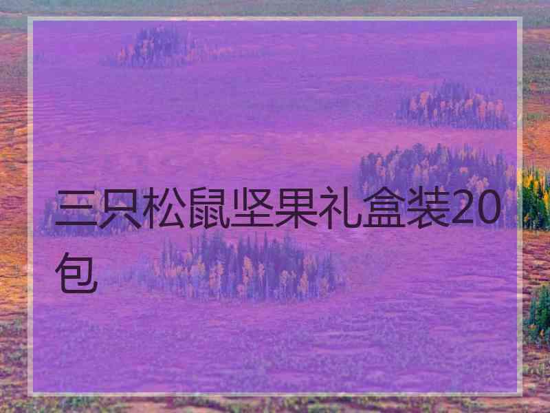 三只松鼠坚果礼盒装20包