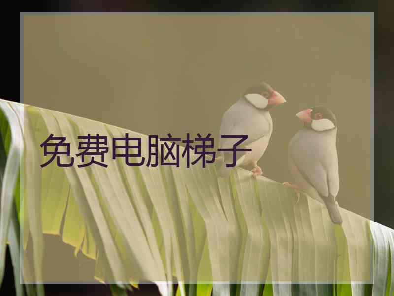 免费电脑梯子