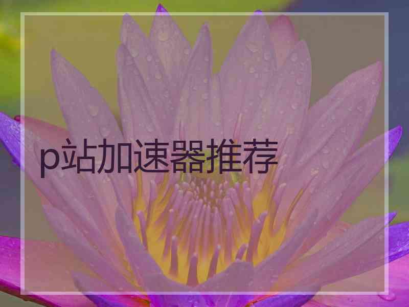 p站加速器推荐