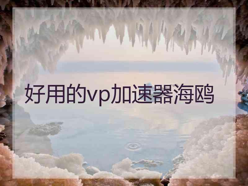 好用的vp加速器海鸥
