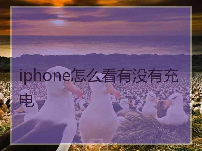 iphone怎么看有没有充电