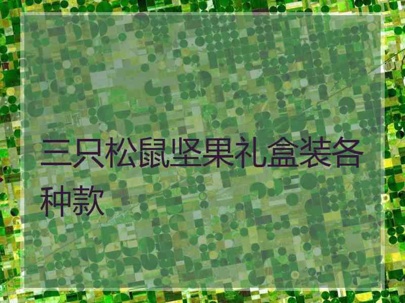 三只松鼠坚果礼盒装各种款