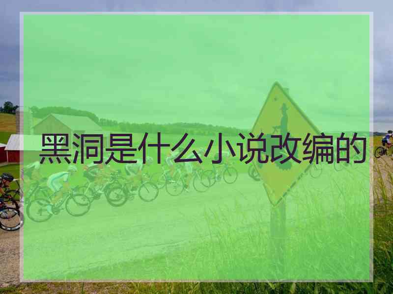 黑洞是什么小说改编的