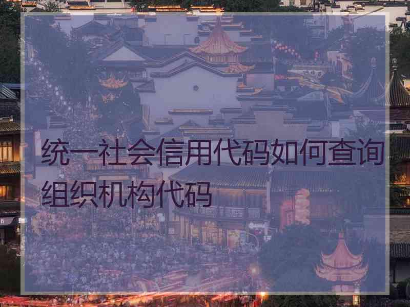 统一社会信用代码如何查询组织机构代码