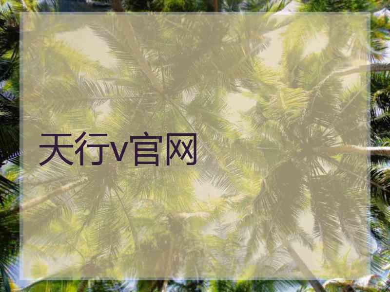 天行v官网