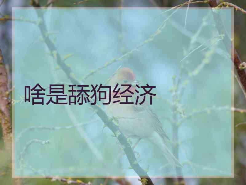 啥是舔狗经济