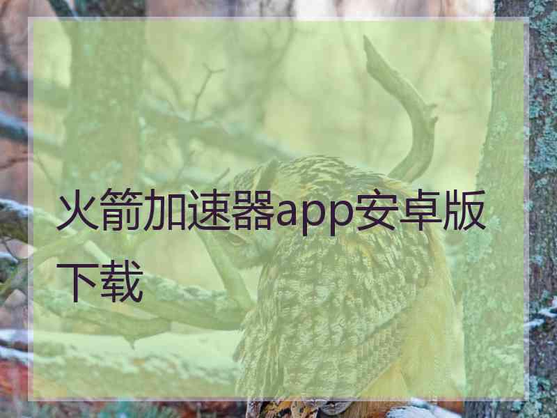 火箭加速器app安卓版下载