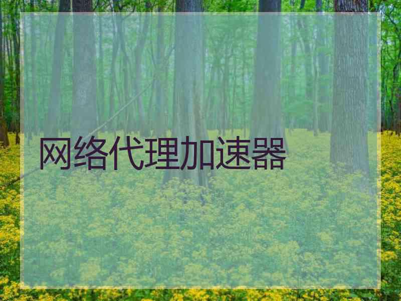 网络代理加速器