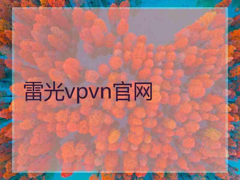 雷光vpvn官网