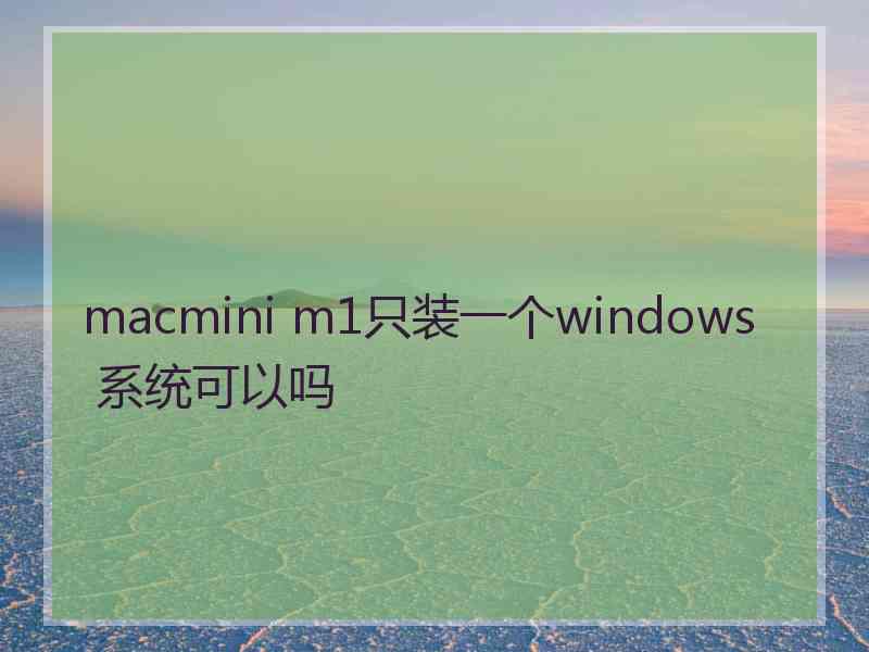 macmini m1只装一个windows 系统可以吗