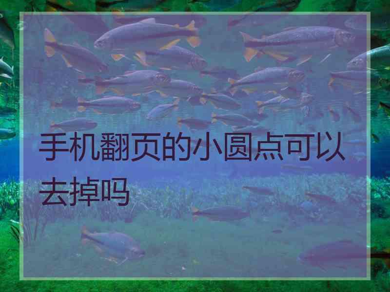 手机翻页的小圆点可以去掉吗