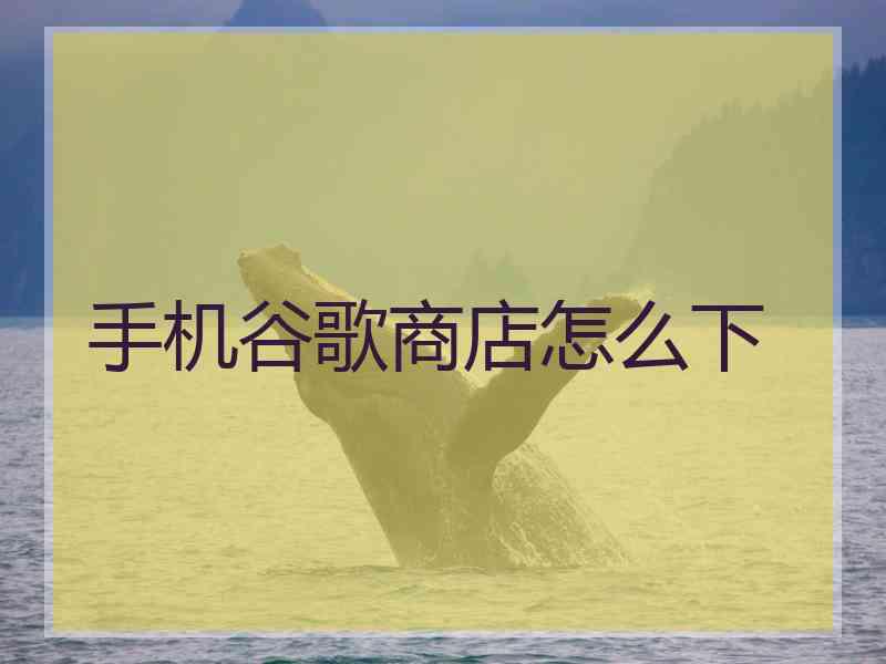 手机谷歌商店怎么下