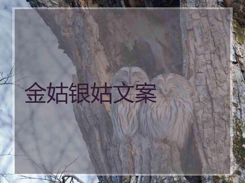 金姑银姑文案