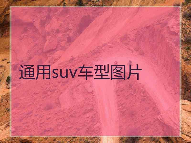 通用suv车型图片