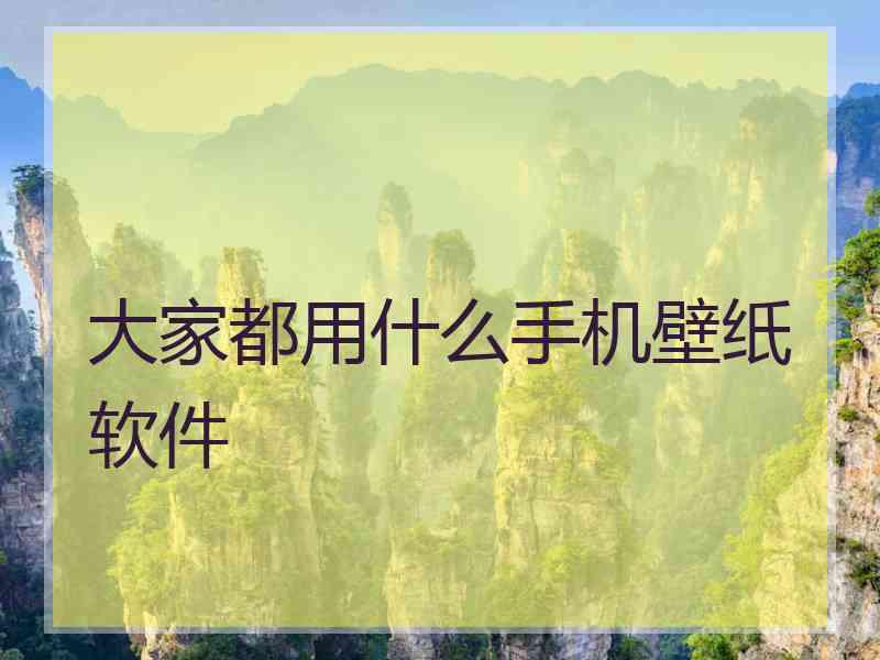 大家都用什么手机壁纸软件