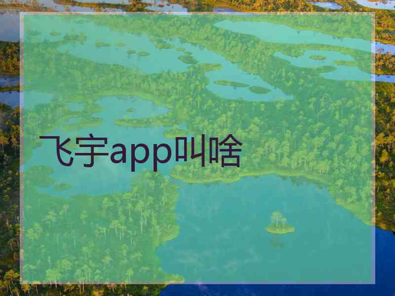 飞宇app叫啥