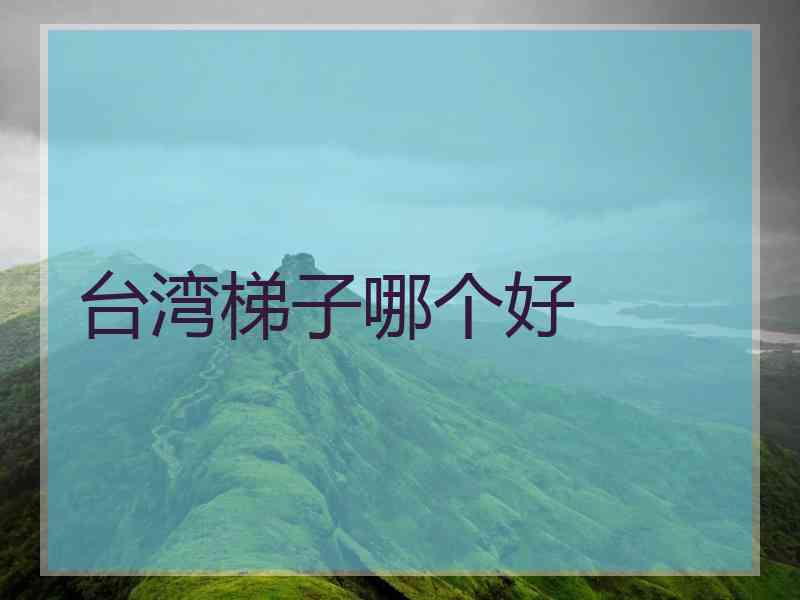 台湾梯子哪个好