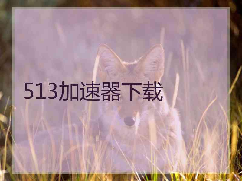 513加速器下载