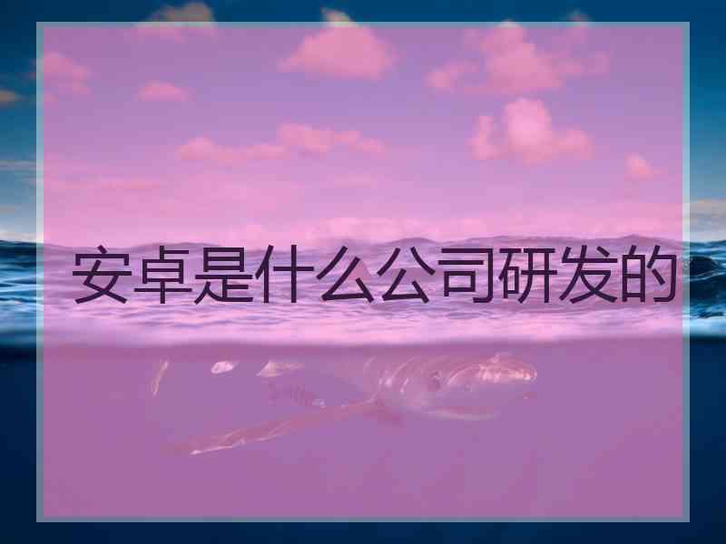 安卓是什么公司研发的