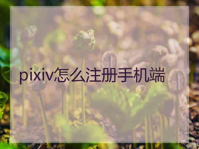 pixiv怎么注册手机端