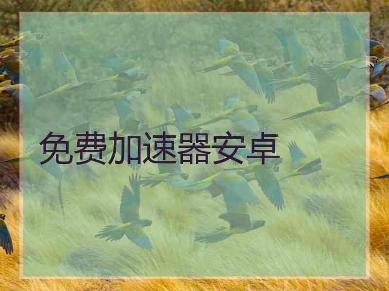 免费加速器安卓