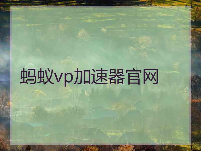 蚂蚁vp加速器官网