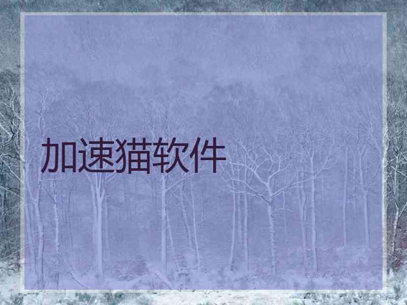 加速猫软件