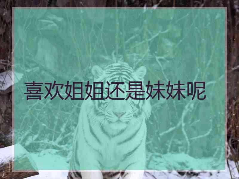 喜欢姐姐还是妹妹呢