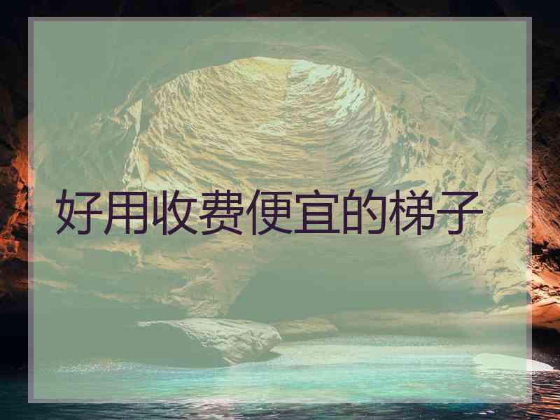 好用收费便宜的梯子