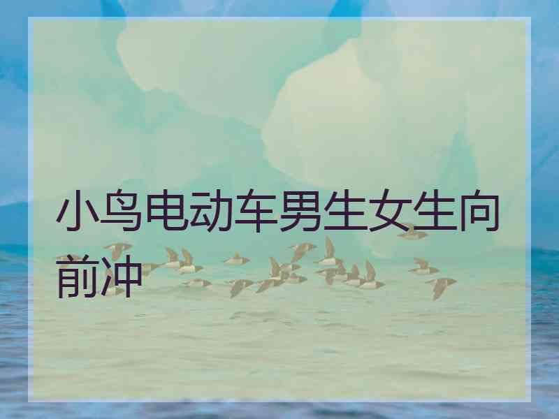 小鸟电动车男生女生向前冲