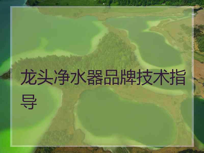 龙头净水器品牌技术指导