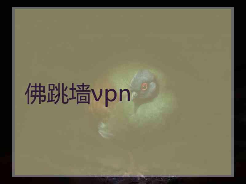 佛跳墙νpn