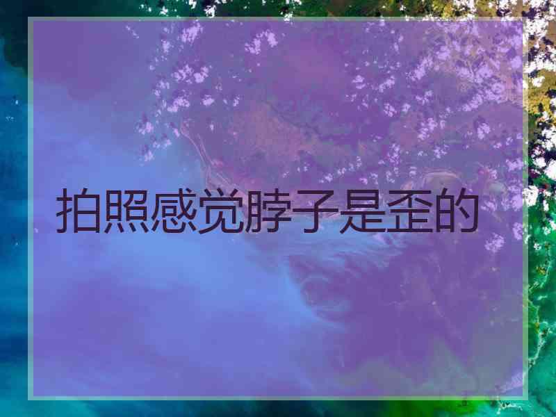 拍照感觉脖子是歪的