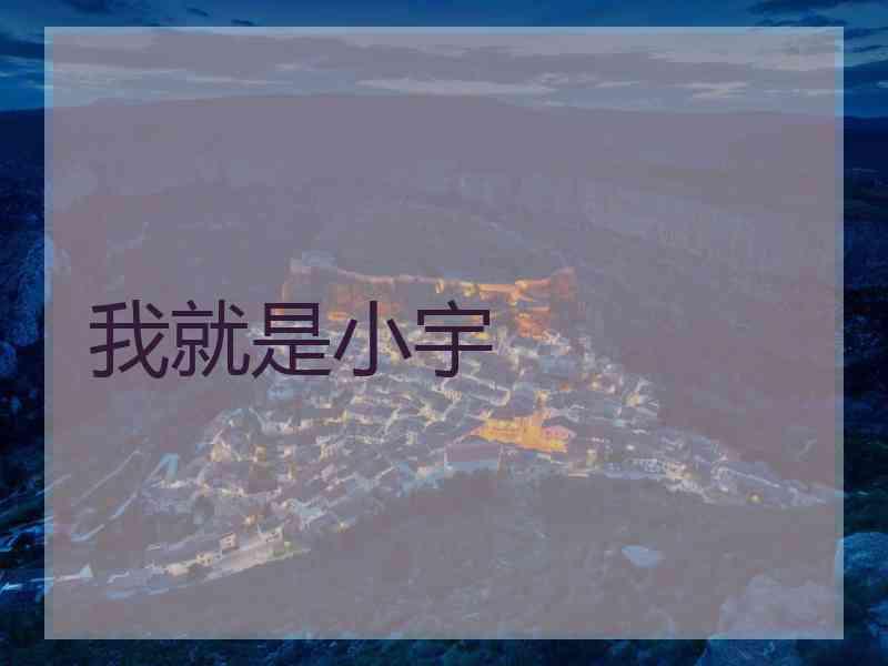 我就是小宇