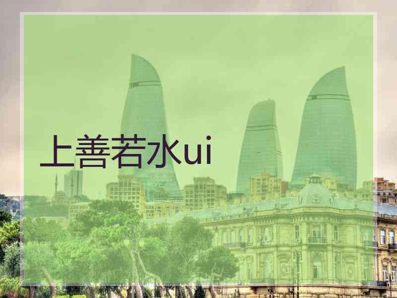 上善若水ui