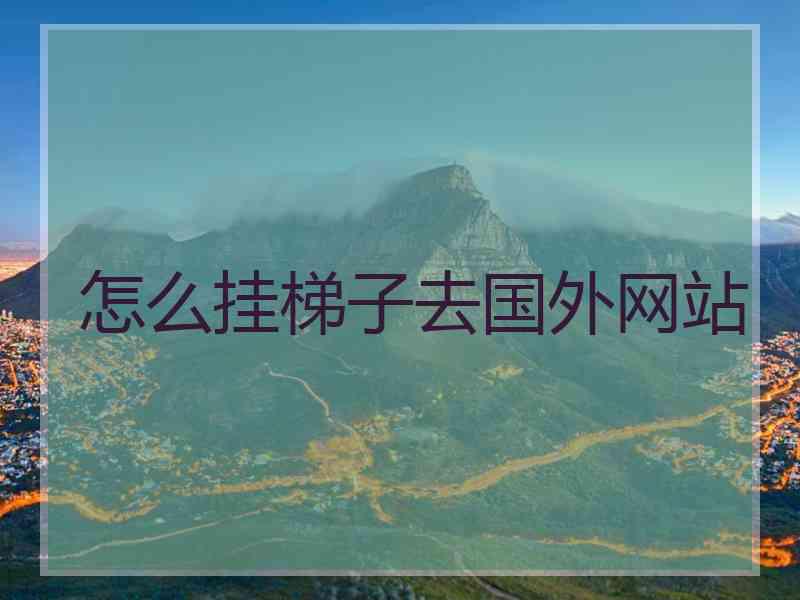 怎么挂梯子去国外网站