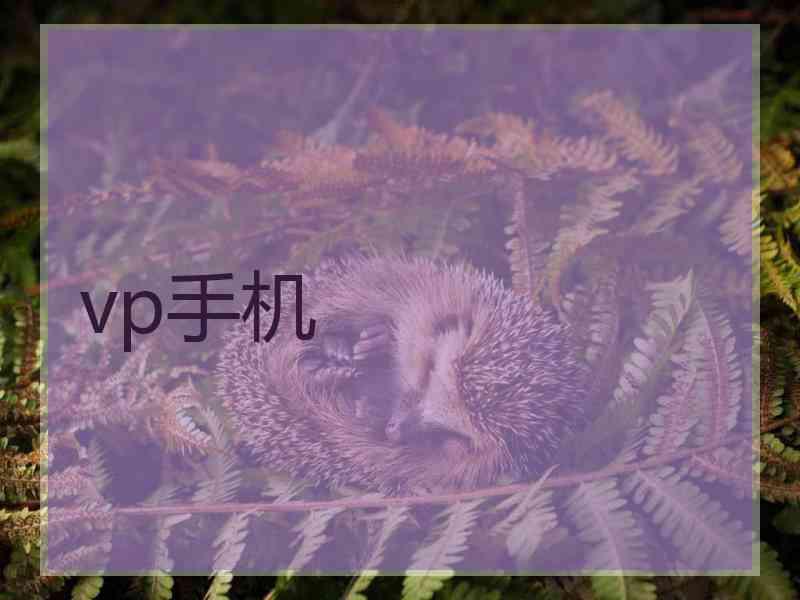 vp手机