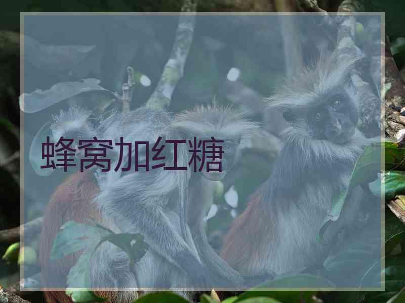 蜂窝加红糖