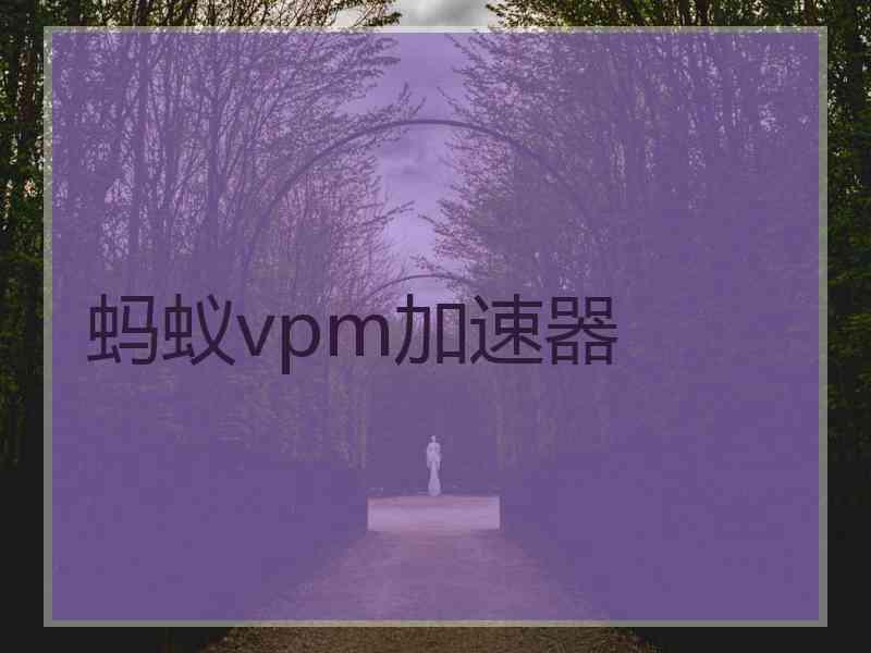 蚂蚁vpm加速器