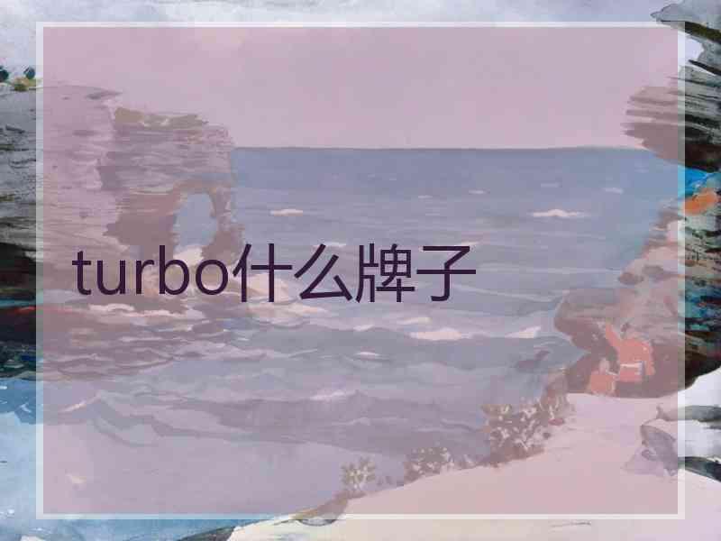 turbo什么牌子