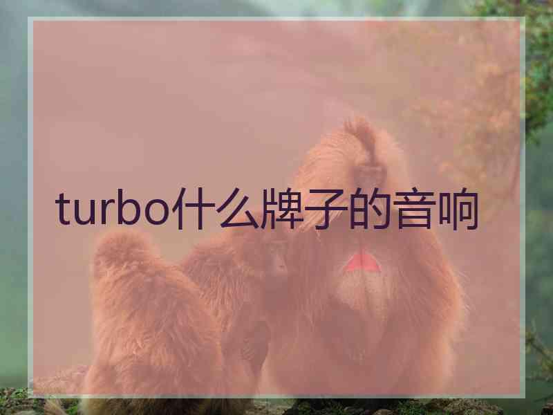 turbo什么牌子的音响