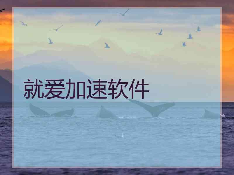 就爱加速软件