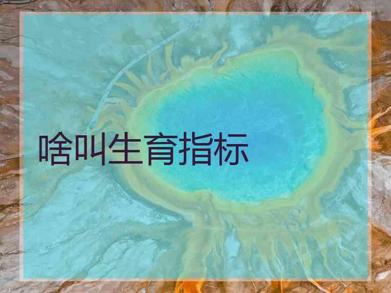 啥叫生育指标